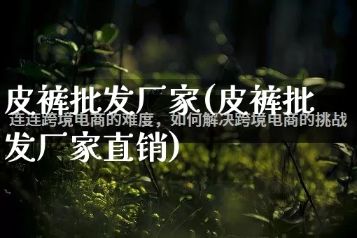 皮裤批发厂家(皮裤批发厂家直销)_https://www.rzcpcj.com_抖音快手_第1张