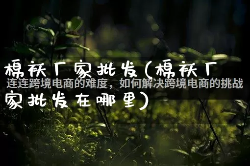 棉袄厂家批发(棉袄厂家批发在哪里)_https://www.rzcpcj.com_天猫运营_第1张