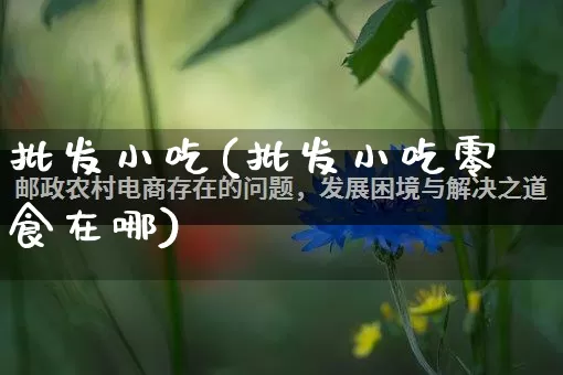 批发小吃(批发小吃零食在哪)_https://www.rzcpcj.com_开网店_第1张