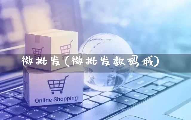 微批发(微批发数码城)_https://www.rzcpcj.com_代运营_第1张