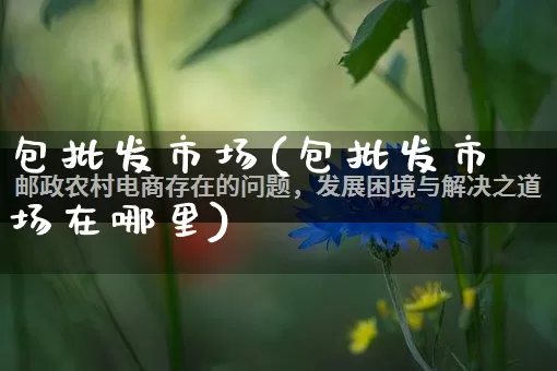 包批发市场(包批发市场在哪里)_https://www.rzcpcj.com_抖音快手_第1张