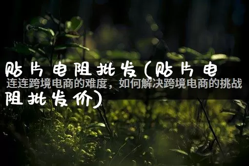贴片电阻批发(贴片电阻批发价)_https://www.rzcpcj.com_代运营_第1张