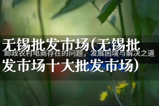 无锡批发市场(无锡批发市场十大批发市场)_https://www.rzcpcj.com_淘宝运营_第1张