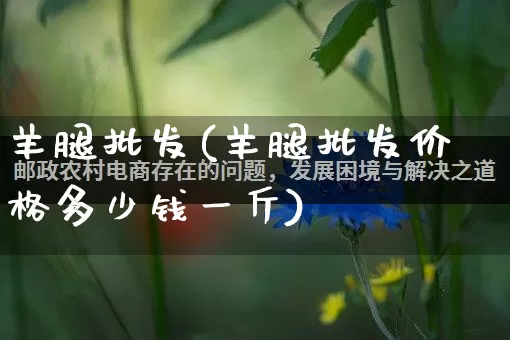 羊腿批发(羊腿批发价格多少钱一斤)_https://www.rzcpcj.com_直通车_第1张