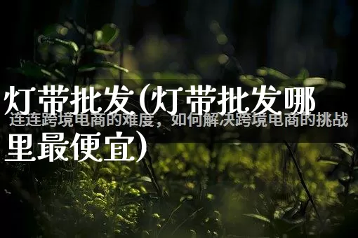 灯带批发(灯带批发哪里最便宜)_https://www.rzcpcj.com_淘宝运营_第1张