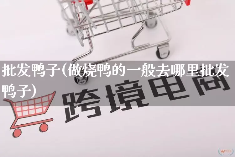 批发鸭子(做烧鸭的一般去哪里批发鸭子)_https://www.rzcpcj.com_淘宝运营_第1张