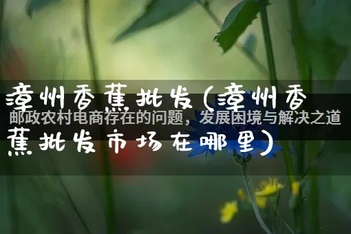 漳州香蕉批发(漳州香蕉批发市场在哪里)_https://www.rzcpcj.com_直通车_第1张
