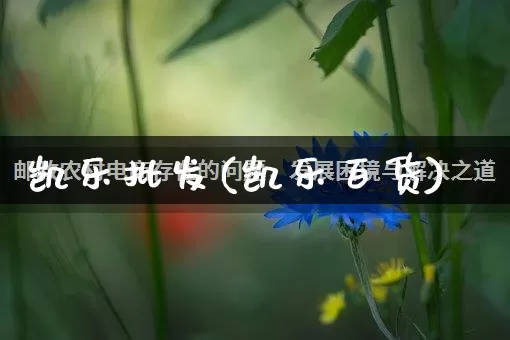凯乐批发(凯乐百货)_https://www.rzcpcj.com_开网店_第1张