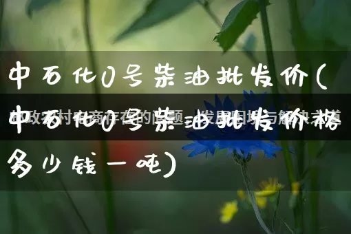 中石化0号柴油批发价(中石化0号柴油批发价格多少钱一吨)_https://www.rzcpcj.com_抖音快手_第1张