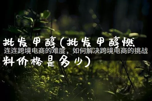 批发甲醇(批发甲醇燃料价格是多少)_https://www.rzcpcj.com_天猫运营_第1张