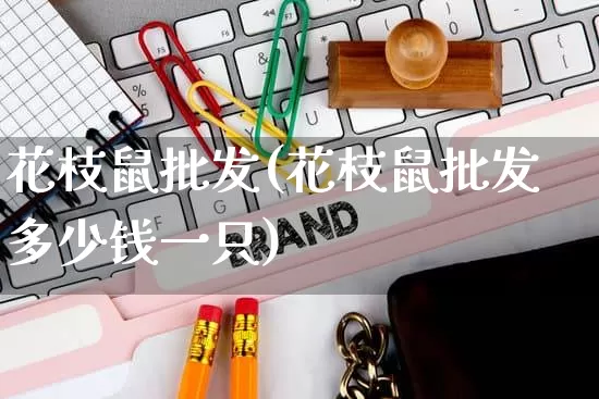 花枝鼠批发(花枝鼠批发多少钱一只)_https://www.rzcpcj.com_抖音快手_第1张