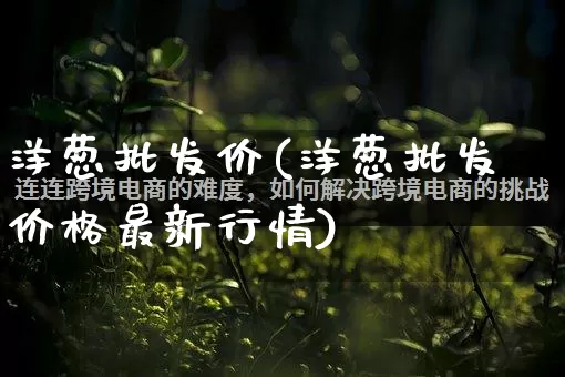 洋葱批发价(洋葱批发价格最新行情)_https://www.rzcpcj.com_天猫运营_第1张