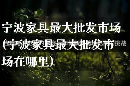 宁波家具最大批发市场(宁波家具最大批发市场在哪里)_https://www.rzcpcj.com_抖音快手_第1张