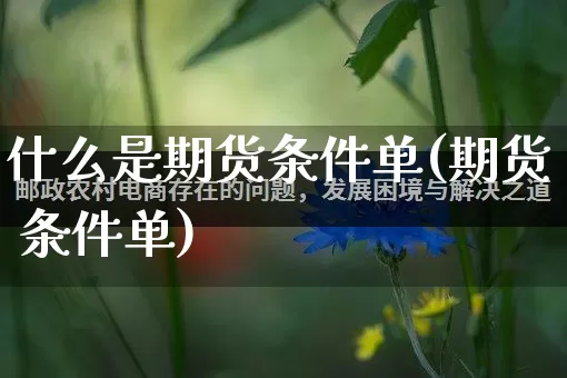 什么是期货条件单(期货 条件单)_https://www.rzcpcj.com_开网店_第1张