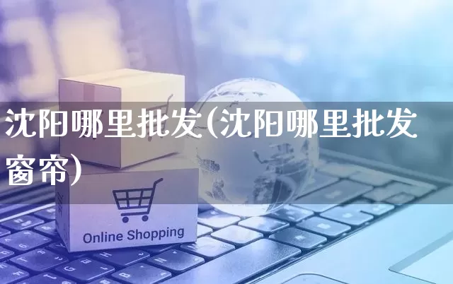 沈阳哪里批发(沈阳哪里批发窗帘)_https://www.rzcpcj.com_直通车_第1张