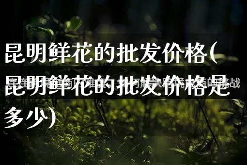 昆明鲜花的批发价格(昆明鲜花的批发价格是多少)_https://www.rzcpcj.com_天猫运营_第1张