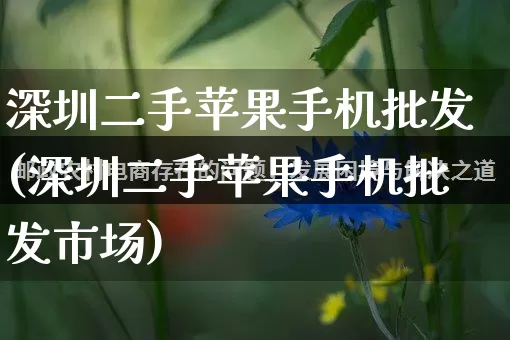 深圳二手苹果手机批发(深圳二手苹果手机批发市场)_https://www.rzcpcj.com_抖音快手_第1张