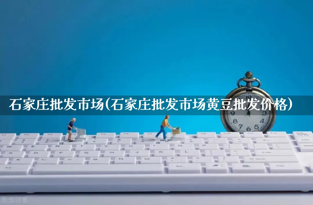 石家庄批发市场(石家庄批发市场黄豆批发价格)_https://www.rzcpcj.com_代运营_第1张