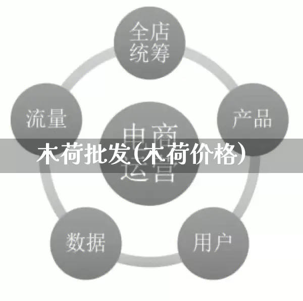 木荷批发(木荷价格)_https://www.rzcpcj.com_淘宝运营_第1张