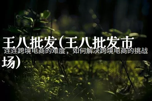 王八批发(王八批发市场)_https://www.rzcpcj.com_淘宝运营_第1张