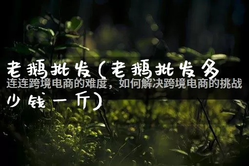 老鹅批发(老鹅批发多少钱一斤)_https://www.rzcpcj.com_天猫运营_第1张