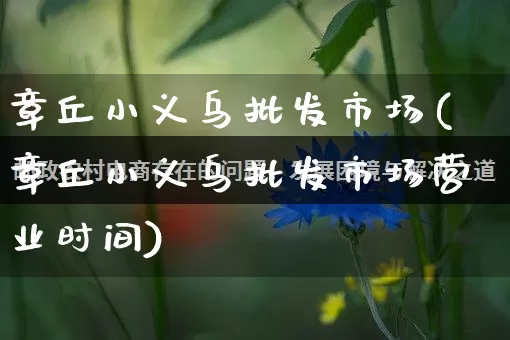章丘小义乌批发市场(章丘小义乌批发市场营业时间)_https://www.rzcpcj.com_抖音快手_第1张