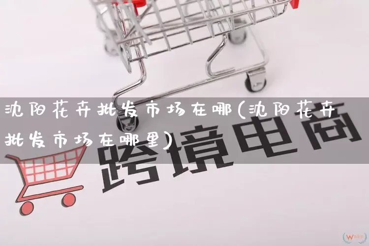 沈阳花卉批发市场在哪(沈阳花卉批发市场在哪里)_https://www.rzcpcj.com_淘宝运营_第1张