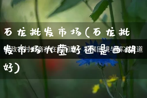 石龙批发市场(石龙批发市场大莹好还是西湖好)_https://www.rzcpcj.com_抖音快手_第1张