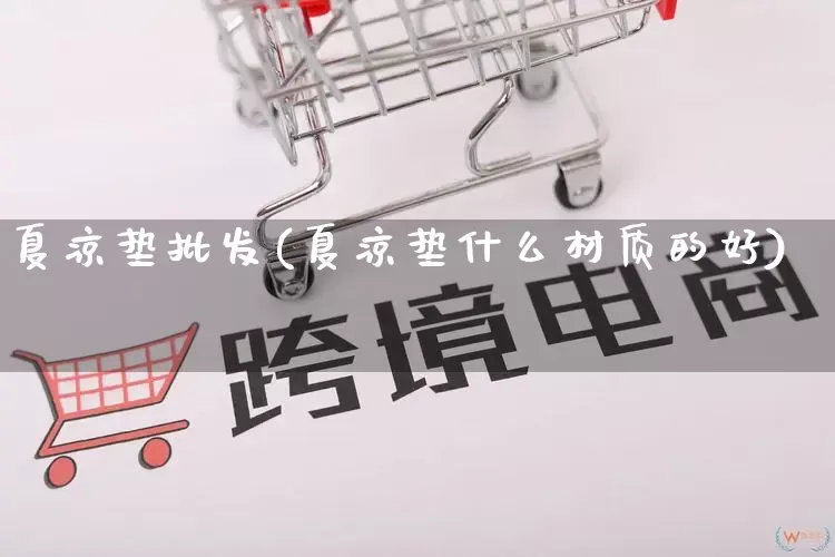 夏凉垫批发(夏凉垫什么材质的好)_https://www.rzcpcj.com_代运营_第1张