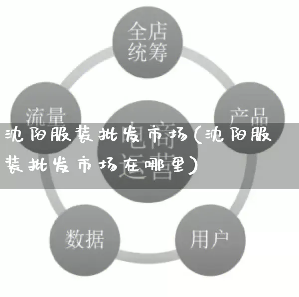 沈阳服装批发市场(沈阳服装批发市场在哪里)_https://www.rzcpcj.com_抖音快手_第1张