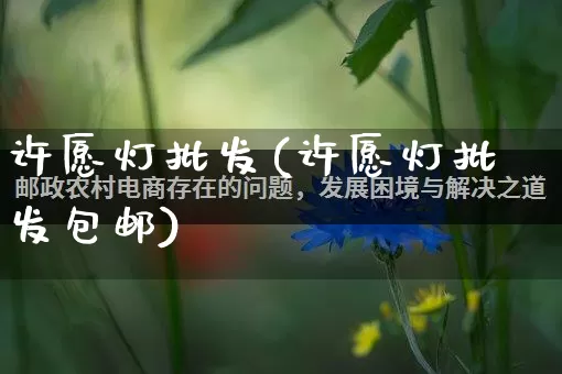 许愿灯批发(许愿灯批发包邮)_https://www.rzcpcj.com_抖音快手_第1张