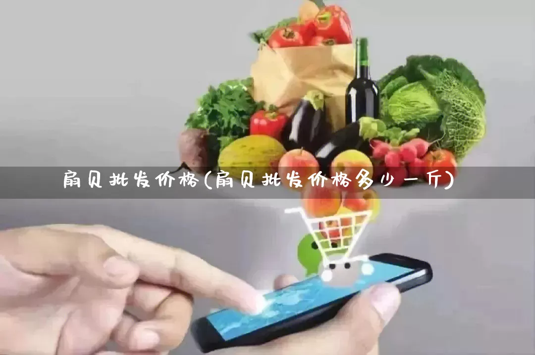 扇贝批发价格(扇贝批发价格多少一斤)_https://www.rzcpcj.com_开网店_第1张