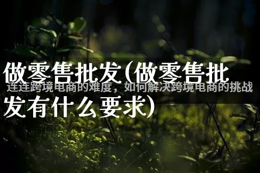做零售批发(做零售批发有什么要求)_https://www.rzcpcj.com_抖音快手_第1张