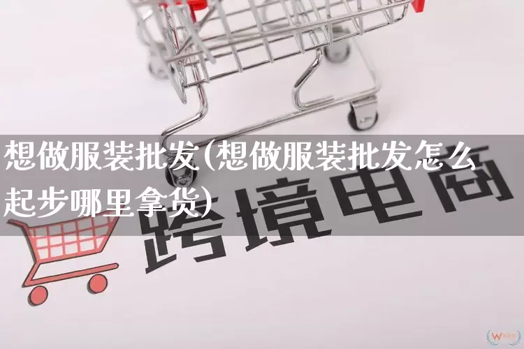 想做服装批发(想做服装批发怎么起步哪里拿货)_https://www.rzcpcj.com_代运营_第1张