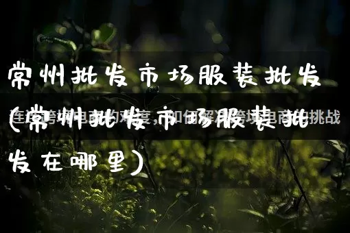 常州批发市场服装批发(常州批发市场服装批发在哪里)_https://www.rzcpcj.com_代运营_第1张