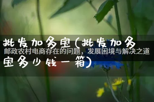 批发加多宝(批发加多宝多少钱一箱)_https://www.rzcpcj.com_代运营_第1张