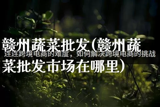 赣州蔬菜批发(赣州蔬菜批发市场在哪里)_https://www.rzcpcj.com_开网店_第1张