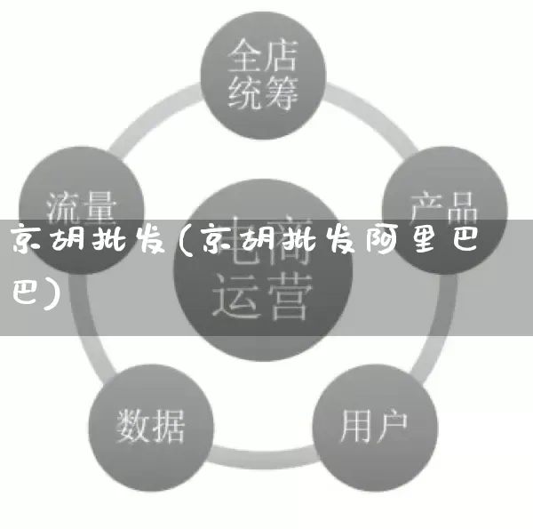 京胡批发(京胡批发阿里巴巴)_https://www.rzcpcj.com_开网店_第1张