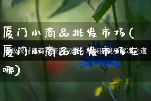 厦门小商品批发市场(厦门小商品批发市场在哪)_https://www.rzcpcj.com_开网店_第1张
