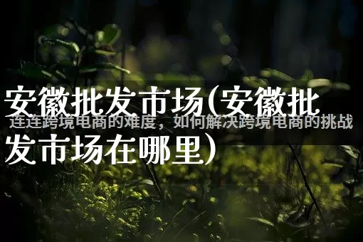 安徽批发市场(安徽批发市场在哪里)_https://www.rzcpcj.com_代运营_第1张