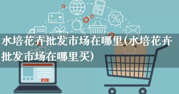 水培花卉批发市场在哪里(水培花卉批发市场在哪里买)_https://www.rzcpcj.com_直通车_第1张