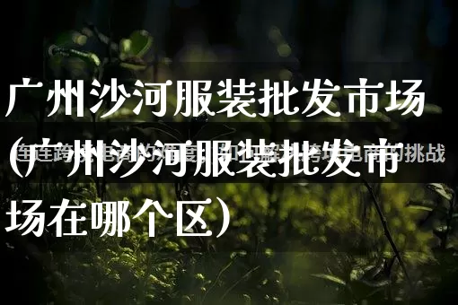 广州沙河服装批发市场(广州沙河服装批发市场在哪个区)_https://www.rzcpcj.com_开网店_第1张