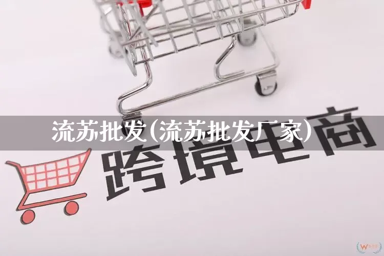 流苏批发(流苏批发厂家)_https://www.rzcpcj.com_开网店_第1张
