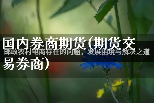 国内券商期货(期货交易券商)_https://www.rzcpcj.com_代运营_第1张