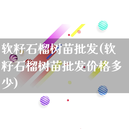 软籽石榴树苗批发(软籽石榴树苗批发价格多少)_https://www.rzcpcj.com_天猫运营_第1张