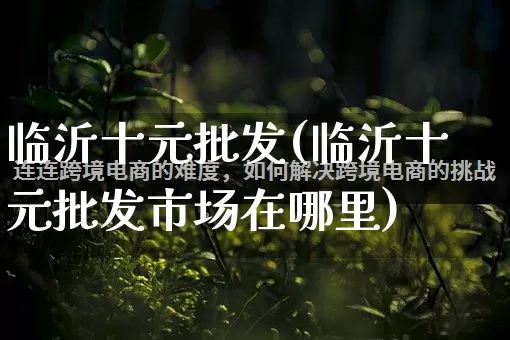 临沂十元批发(临沂十元批发市场在哪里)_https://www.rzcpcj.com_淘宝运营_第1张