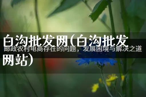 白沟批发网(白沟批发网站)_https://www.rzcpcj.com_直通车_第1张