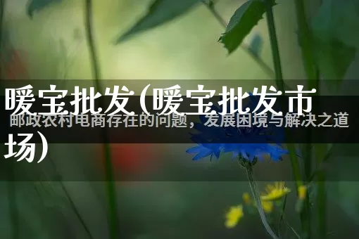 暖宝批发(暖宝批发市场)_https://www.rzcpcj.com_抖音快手_第1张