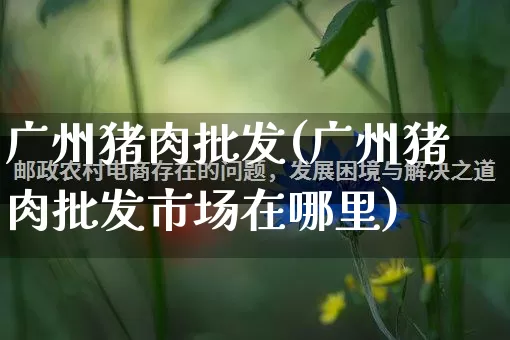 广州猪肉批发(广州猪肉批发市场在哪里)_https://www.rzcpcj.com_代运营_第1张