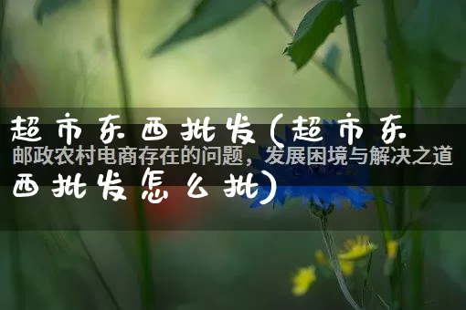 超市东西批发(超市东西批发怎么批)_https://www.rzcpcj.com_淘宝运营_第1张